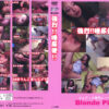 Thumbnail of related posts 050