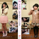 Thumbnail of related posts 155