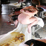 Thumbnail of related posts 040