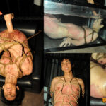 Thumbnail of related posts 196