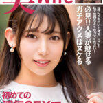 Thumbnail of related posts 064