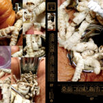 Thumbnail of related posts 092